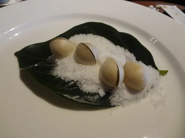 1011124[禮官三小愛台灣]又見一炊煙日式庭園禪風慢活好自在詩情畫意無菜單料理(用餐篇)