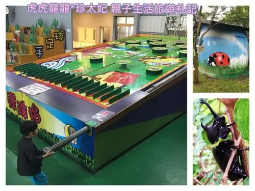 『嘉義景點』大大的玩具||大大的童年||划船x滑草X漆彈X烤肉焢窯||還有豐富的生態之旅~童年渡假村!