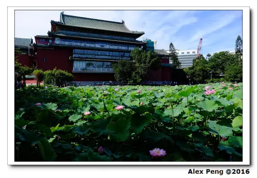 新北市-永和-涼人良麵