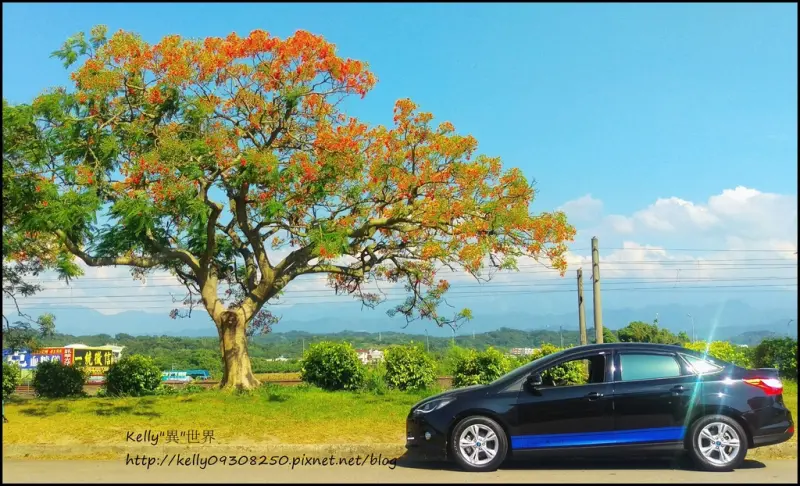 ✿苗栗造橋-座於省道旁猶如歐洲建築風格ღ綠池庭園餐廳ღ✿