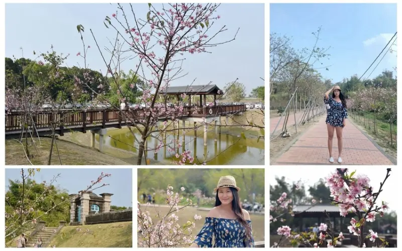 【台南。山上區】南部地區賞櫻好去處『原台南水道。淨水地區』，歐式古蹟與櫻花美麗邂逅(花況108/03/01)