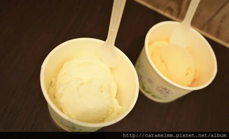 【花蓮市】後山手工冰淇淋  花蓮在地食材 義式冰淇淋 數十種口味任君挑選 中華路