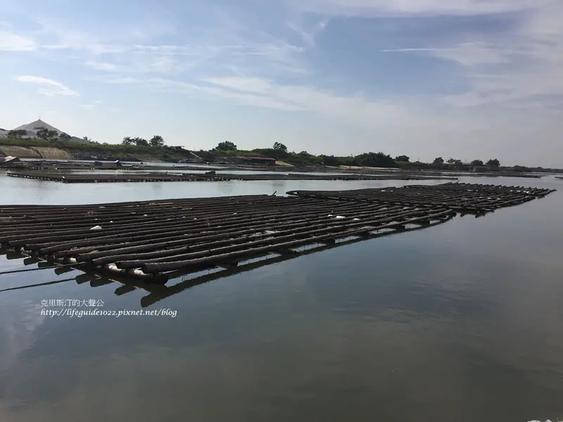 【嬰兒旅行】台南 四草濕地 紅樹林生態之旅