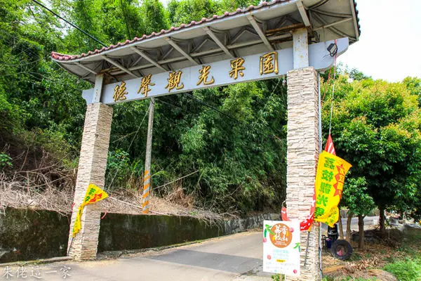 【新竹景點】德聲觀光果園。親近大自然,帶孩子們一起來當野猴子爬樹採荔枝