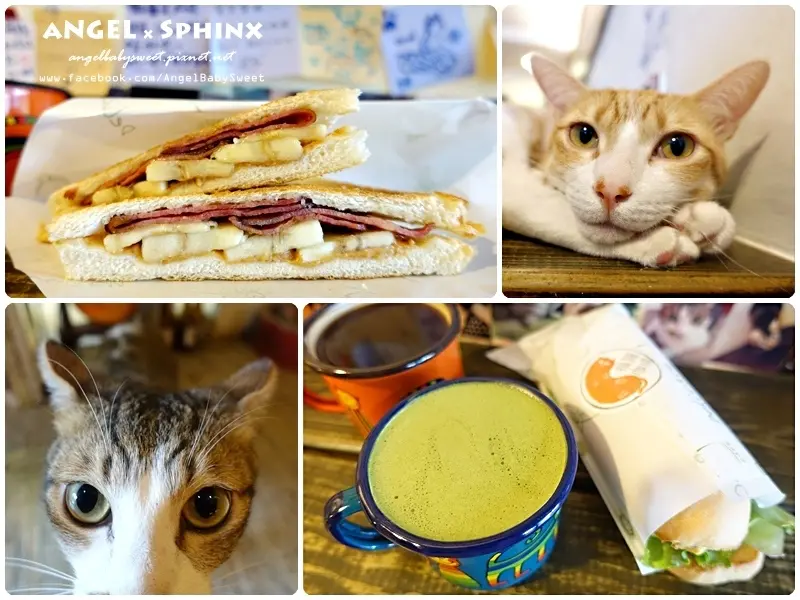 「貓店長」銅板價超美味三明治小店 ❤ 貓圖咖啡 CAT. jpg cafe