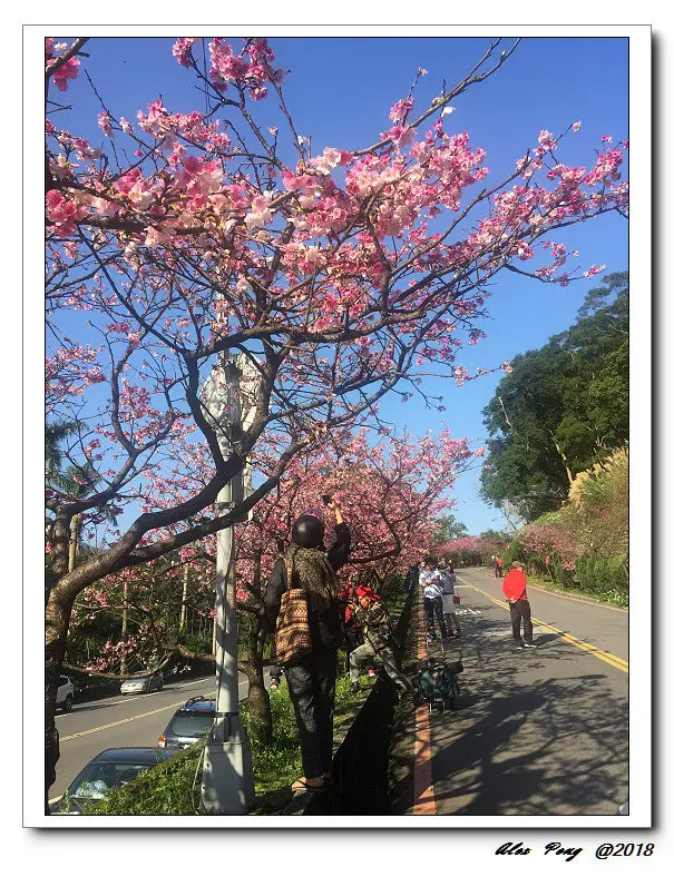 新北市-新店區-新店站-劉漣麵