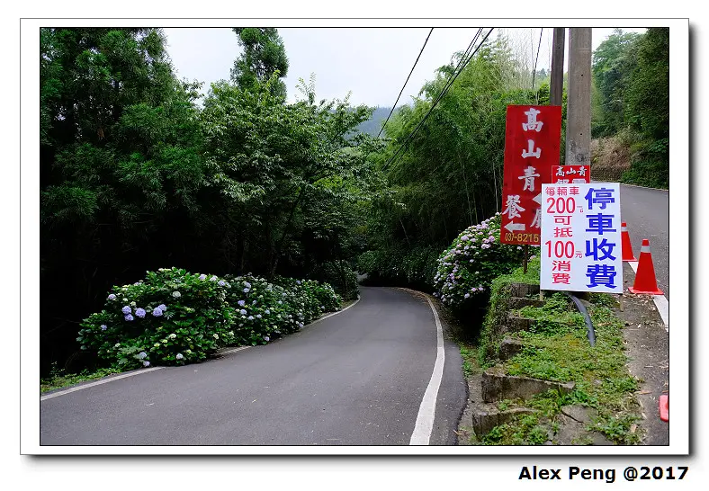 苗栗-南庄-高山青鱒魚養殖場+獅潭-仙山仙草