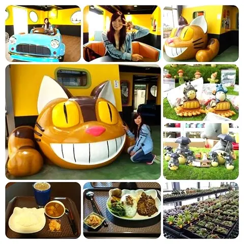 桃園新景點~多肉市集&阿貓咖啡龍貓公車              