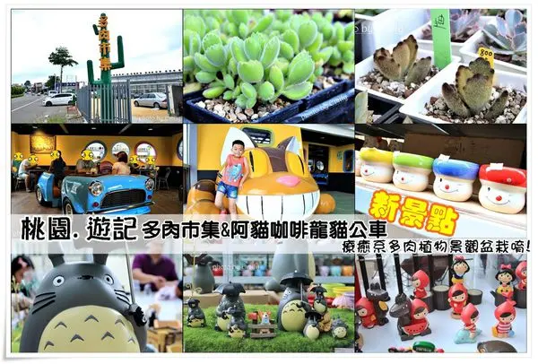 ╠桃園。遊記╣新開幕＊新免費景點！多肉市集❤阿貓龍貓車站咖啡廳x栽培x療癒雜貨，療癒系多肉植物盆栽小物「簡單到不行」的幸福！7/23、24熱鬧登場（免門票／免費停車場／療癒系小市集）