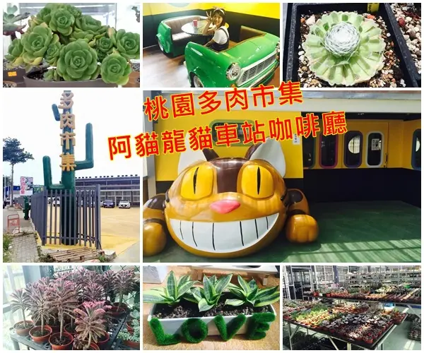 【桃園新景點】多肉市集&阿貓龍貓車站咖啡廳，多肉植物3盆100元，好便宜呀~