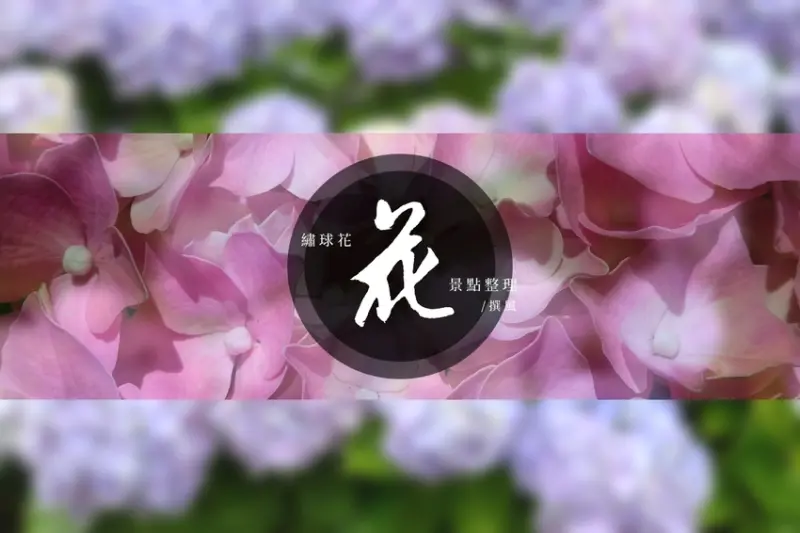 繡球花！全台13個繡球花賞花景點整理表格（持續更新，歡迎提供資訊）