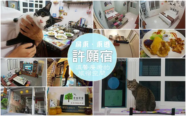 【屏東】東港 許願宿Wish-Dream B&B：有著貓咪陪伴的溫馨療癒旅宿/民宿/住宿體驗