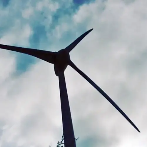 【台中景點】大安龜殼生態公園∞散心談天都來這