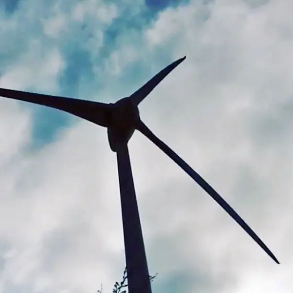 【台中景點】大安龜殼生態公園∞散心談天都來這