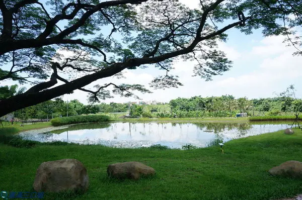 【遊記】高雄燕巢_阿公店森林公園@行走森林步道感受大自然的美 來一段生態探險與趣味玩耍的親子旅行