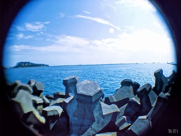 【高雄美食】黑狗食堂∞真的有黑狗的道地新加坡美食