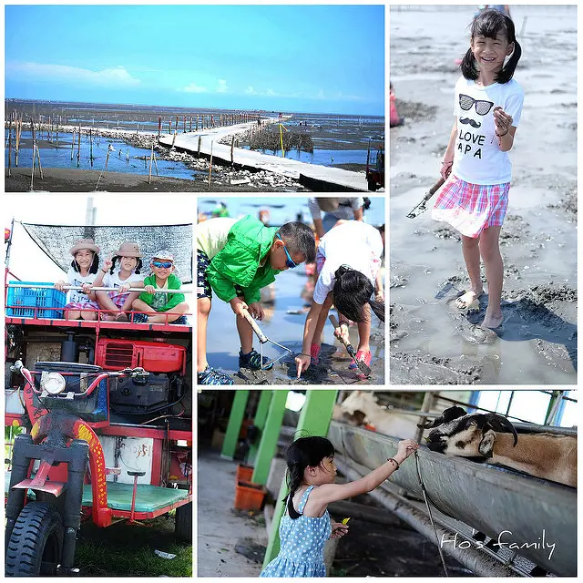 [彰化]搭採蚵車玩生態，摸蛤、品蚵、餵小羊、啖羊奶冰超值體驗～王功牧羊女