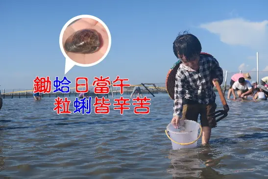 【親子野放趣 X 摸蛤仔兼洗褲】鋤蛤日當午、清涼又消暑、快帶孩子來免費體驗