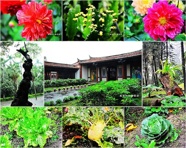 【臺北】中正區。臺北植物園 ＆ 欽差行臺        
      