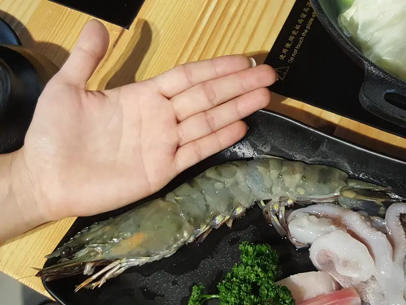 【食-新竹東區】鍋牛鍋物♥食材新鮮．湯頭美味♡可容納22人的獨立用餐空間♥團體聚餐也能享用個人鍋物♡新開店家