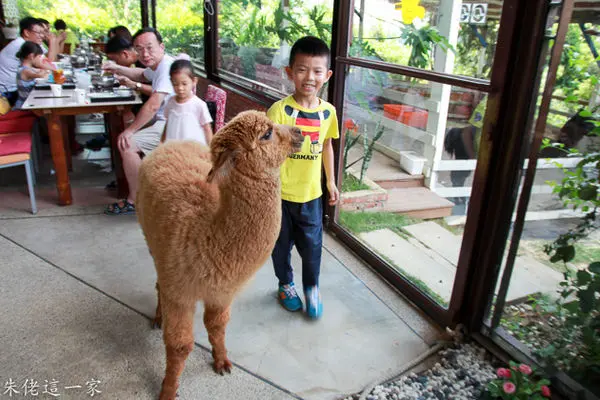 【台中美食】綠大地景觀餐廳。萌翻天的草泥馬陪吃飯