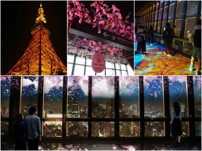 [東京夜景推薦]東京鐵塔-東京必看夜景!2018年2~5月限定3D夜櫻燈光秀 - 美食好芃友