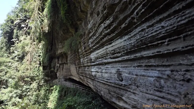 嘉義梅山。青年嶺步道。燕子崖。蝙蝠洞
