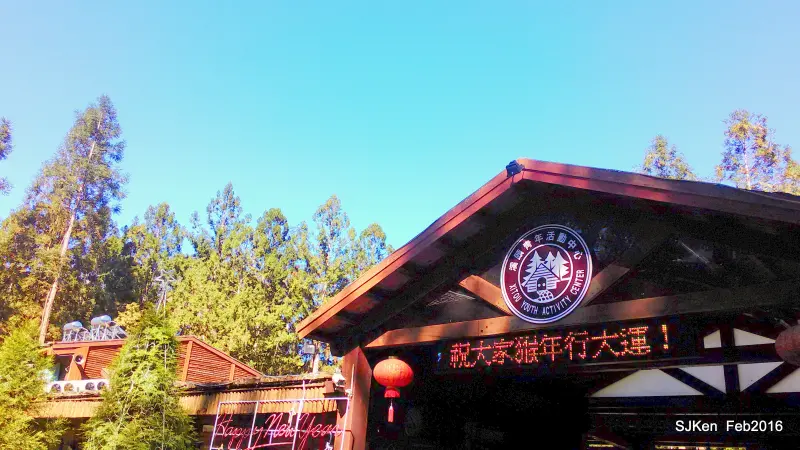 (台灣中部輕旅行)南投「溪頭青年活動中心」(四之一)環境篇 --- 參天林木氣象萬千!