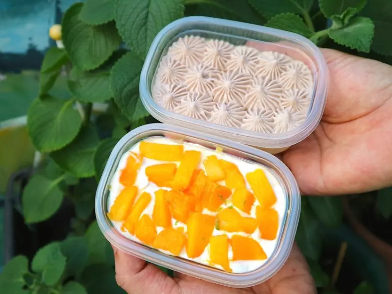 咿吉麵包坊：隱身台南北區巷弄裡的好味道、美味麵包當天出爐當天秒殺｜最新推出：夏季限定-芒果寶盒，濃郁芒果香甜/盒泥香芋，芋頭控的最愛｜在地人推薦的秘密麵包店 - 進食的巨鼠