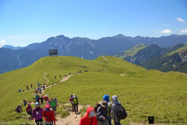 【南投。仁愛】合歡北峰攻頂記。一片片有如阿爾卑斯山的箭竹緩草原。蒼翠的冷杉森林。一望無際的箭竹草坡共同織繡大地