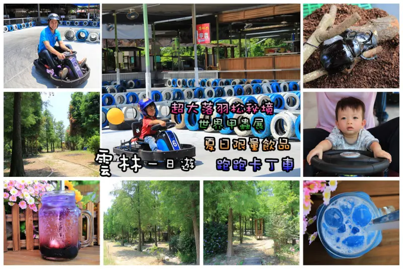 [雲林一日遊] 跑跑卡丁車真人版~大小朋友一起來甩尾:勁風甩尾場+綠色隧道+六甲落羽松秘境(木房子超有感)+夏日必喝消暑飲品+世界甲蟲展