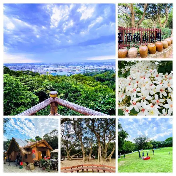 桃園療癒步道推薦|五酒桶山海山之路|背山面海擎天大草坪觀景台|桃園親民好走登山步道