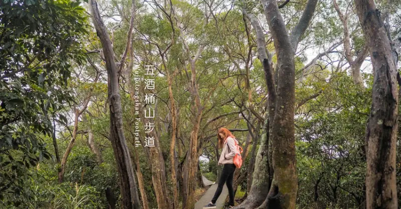 輕鬆好走的親子步道，賞遠景之外還能在大草原上奔跑︱桃園蘆竹五酒桶山步道