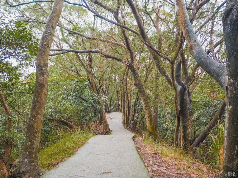  桃園蘆竹景點推薦：五酒桶山步道/ WalkerLand窩客島整理提供 未經許可不可轉載