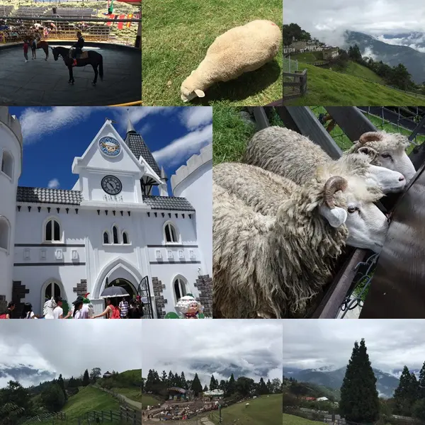 桃園+南投的瘋狂3天兩夜之旅