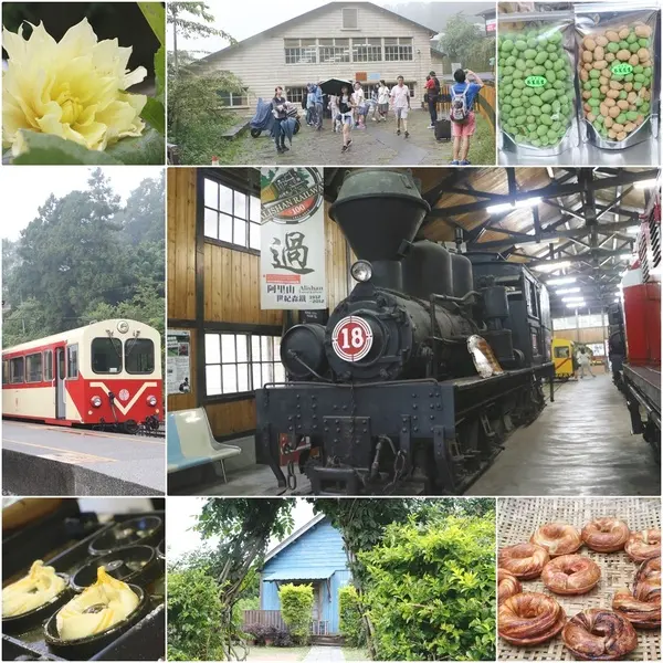 鄒遊阿里山、戀戀FUZU之旅，奮起湖百年舊車站、四方竹、火車展示館、百年土地公廟、雨中漫步台灣杉森林棧道、再訪星空小木屋、阿良現烤甜甜圈、奮起湖老街巡禮