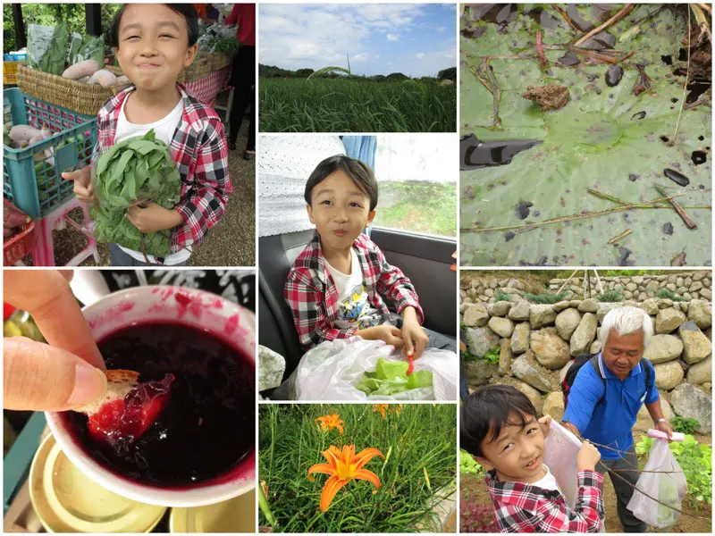 領略【三芝】自然人文之美 打造屬於自己的樂活方程式 - 訪共榮社區