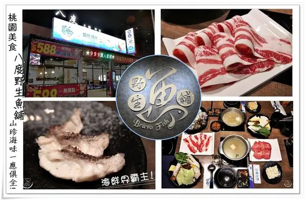 ╠桃園。食記╣八度野生魚舖,視覺生猛海鮮種類超澎湃,味蕾的超級奢華甜點鸚哥魚膠原凍,吃到飽~超值享受的尚青火鍋鮮味!(非凡大探索推薦)