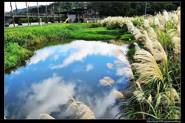 20151205北市山水綠生態公園