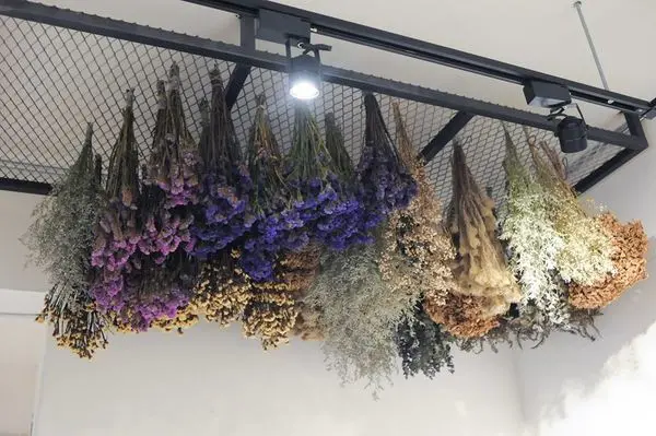 【台電大樓】菓果 夢幻少女的漸層飲料 師大夜市美食新選擇