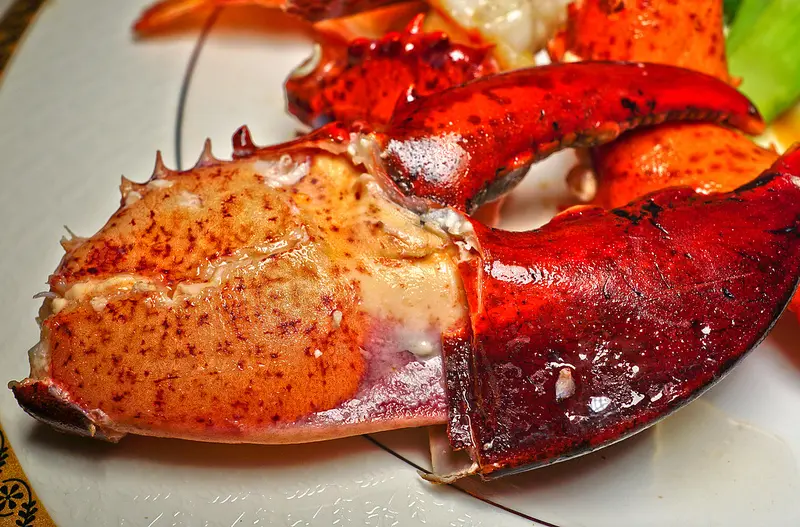 百家樂鐵板燒, 食材好超高CP值, 整隻龍蝦吃的超爽, 捷運中山國小站