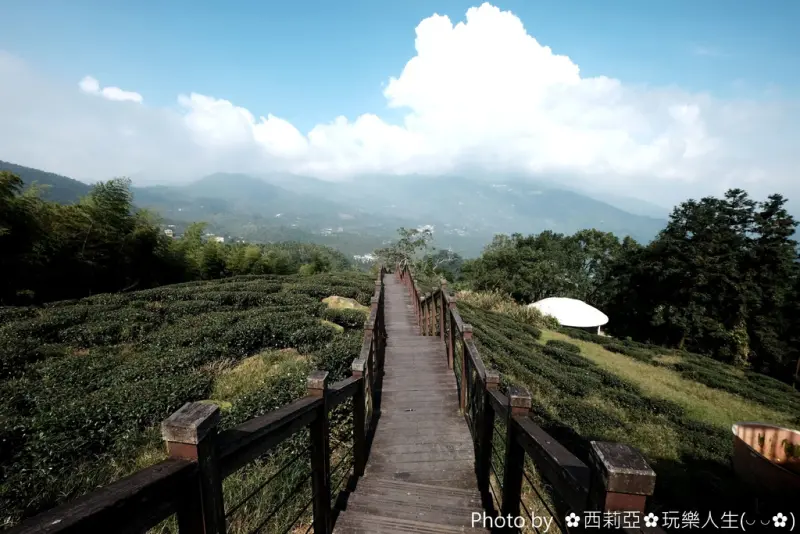 【嘉義。梅山鄉】全程穿梭在茶園及原始樹林間的『太興岩步道』，視野瞭闊、景色清幽雅致，絕對是一處健身休閒的好去處！