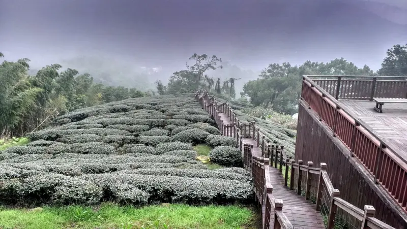 嘉義景點 ▎ 嘉義秘境推薦！太興岩步道+雲潭瀑布