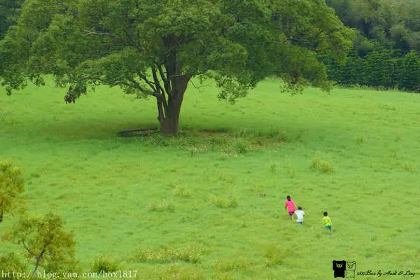 【苗栗。通霄】秘密花園算什麼。這裡有秘密大草原。大南窩綠丘。通霄私房景點