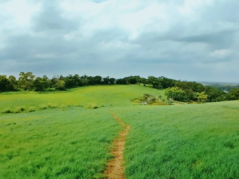 苗栗景點 ▎大南窩綠丘│苗栗秘境草原