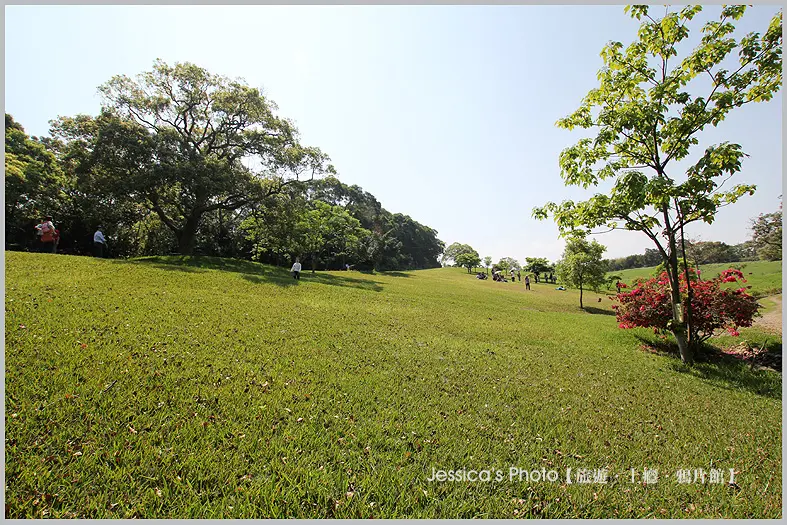 苗栗●南窩綠丘●綠野仙蹤之綿延大草原/三月木棉花烈焰綻放