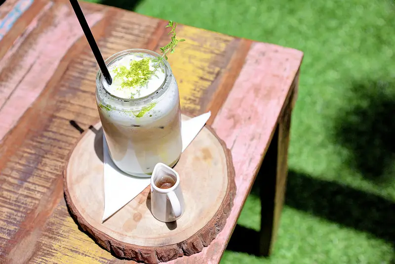 新竹 nolas café X 在閣樓小森林咖啡館與貓咪野餐