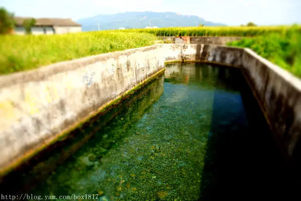 【台中。大甲】在地消暑祕境。日南10度C冷泉。隱身大甲農田小路旁