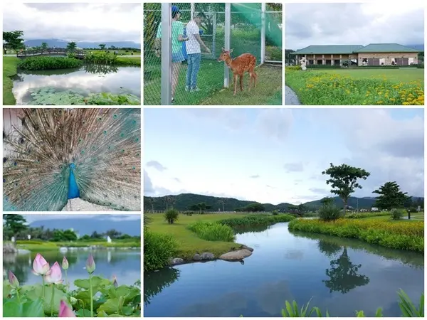 花蓮 台開心農場～探訪花蓮溪口的美麗祕境        
      