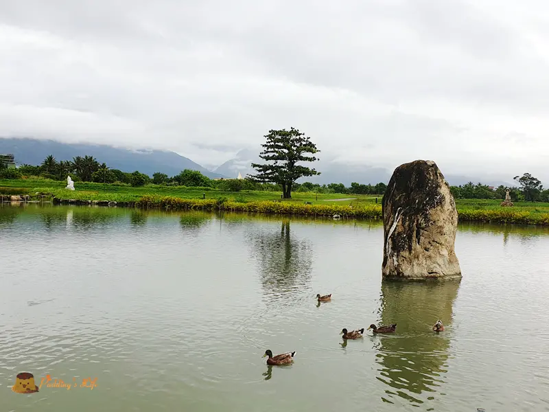 【花蓮旅遊】吉安-洄瀾灣開心農場《台開心農場》免費入園看動物親子景點